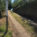 Elena *