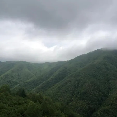 Elena بيت للعطل *