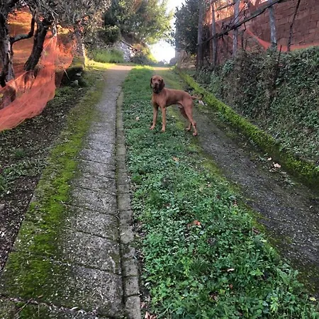 Дом отдыха Elena *