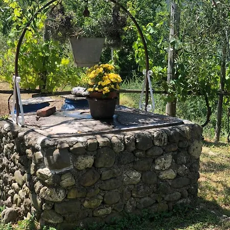 Holiday home Elena
