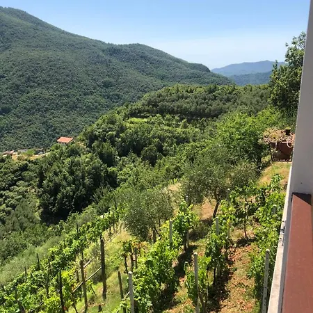 Casa vacanze Elena *