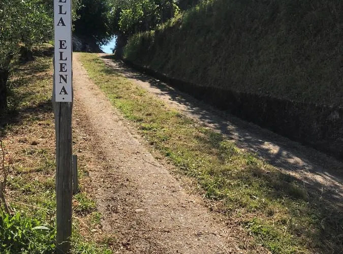Elena *