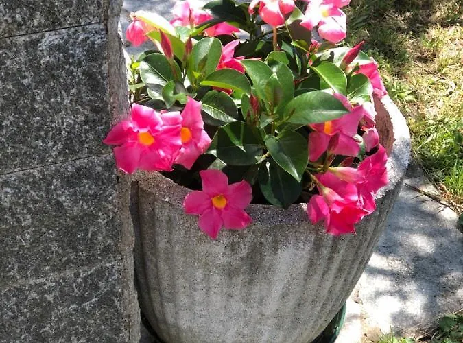 Elena Сasa de vacaciones