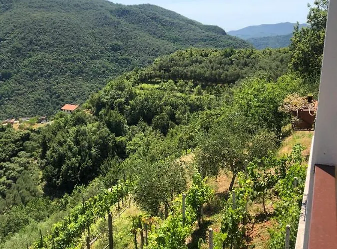 Сasa de vacaciones Elena *